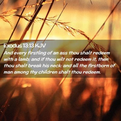 Exodus 13:13 KJV Free Bible Images