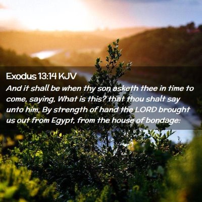 Exodus 13:14 KJV Free Bible Images