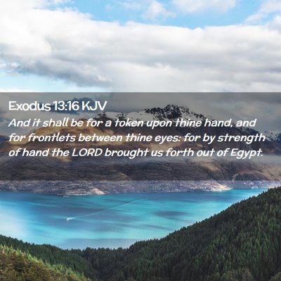 Exodus 13:16 KJV Free Bible Images