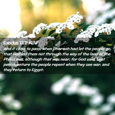 Exodus 13:17 KJV Free Bible Images