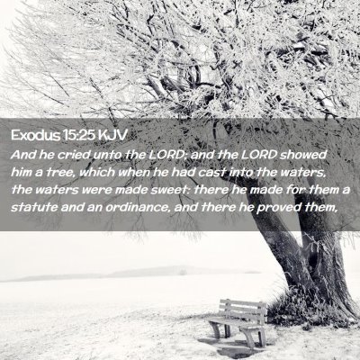 Exodus 15:25 KJV Free Bible Images