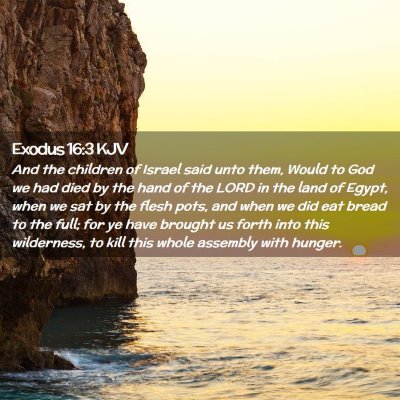 Exodus 16:3 KJV Free Bible Images