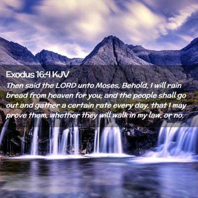 Exodus 16:4 KJV Free Bible Images