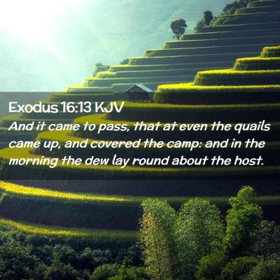 Exodus 16:13 KJV Free Bible Images