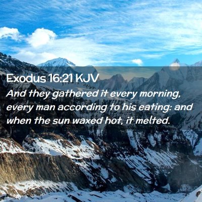 Exodus 16:21 KJV Free Bible Images