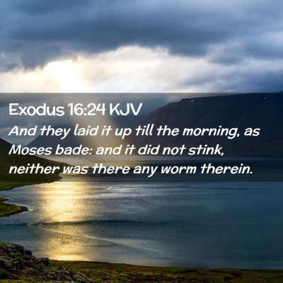 Exodus 16:24 KJV Free Bible Images