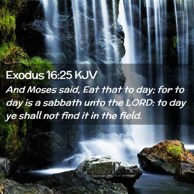 Exodus 16:25 KJV Free Bible Images