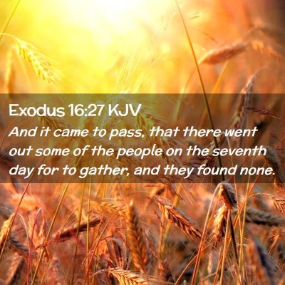 Exodus 16:27 KJV Free Bible Images