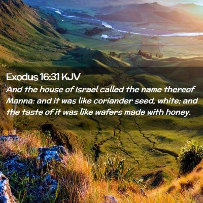 Exodus 16:31 KJV Free Bible Images