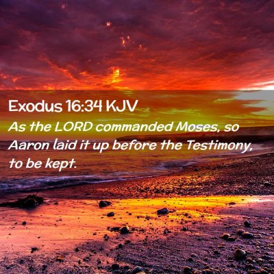 Exodus 16:34 KJV Free Bible Images