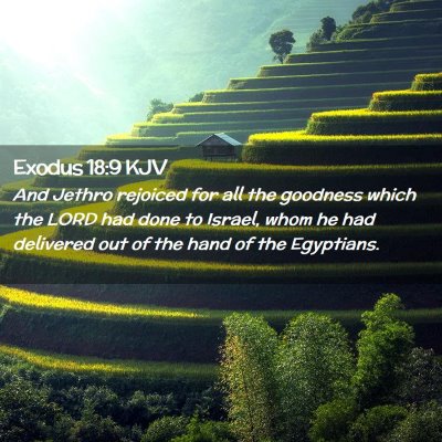 Exodus 18:9 KJV Free Bible Images