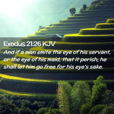 Exodus 21:26 KJV Free Bible Images