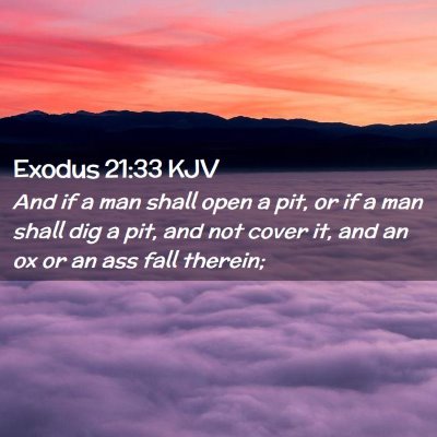 Exodus 21:33 KJV Free Bible Images