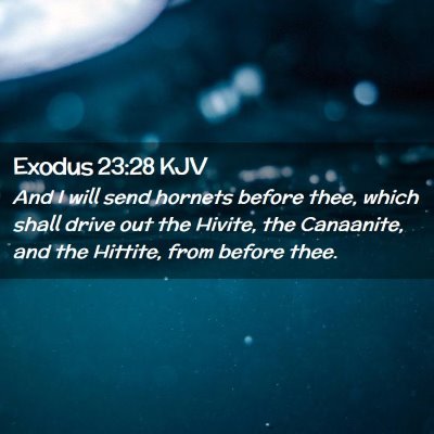 Exodus 23:28 KJV Free Bible Images