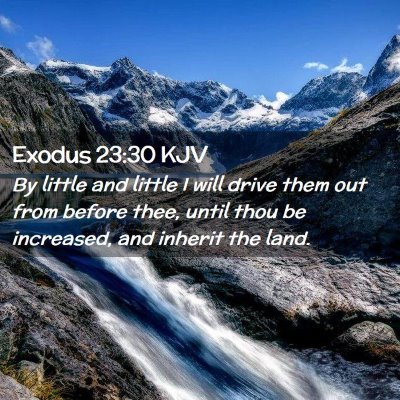 Exodus 23:30 KJV Free Bible Images