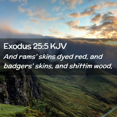 Exodus 25:5 KJV Free Bible Images