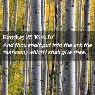 Exodus 25:16 KJV Free Bible Images