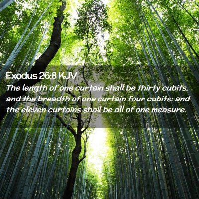 Exodus 26:8 KJV Free Bible Images