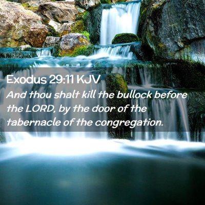 Exodus 29:11 KJV Free Bible Images