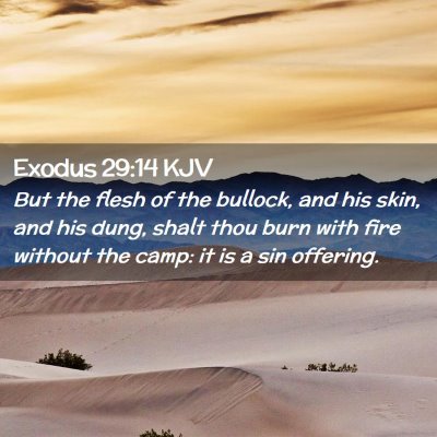 Exodus 29:14 KJV Free Bible Images