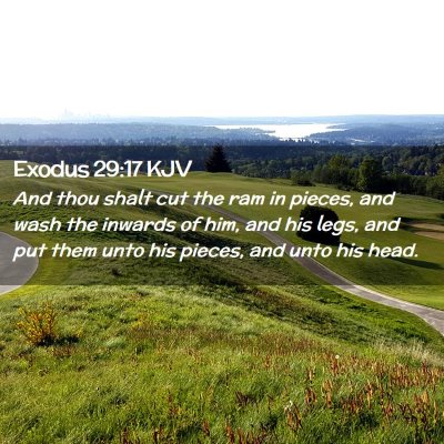 Exodus 29:17 KJV Free Bible Images