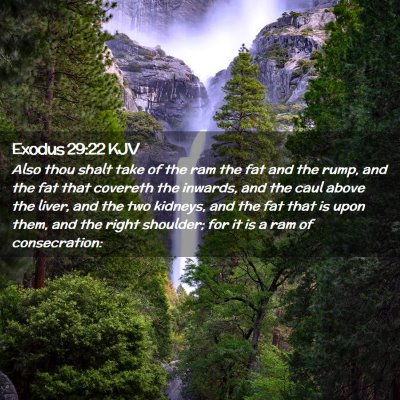 Exodus 29:22 KJV Free Bible Images