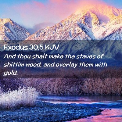 Exodus 30:5 KJV Free Bible Images