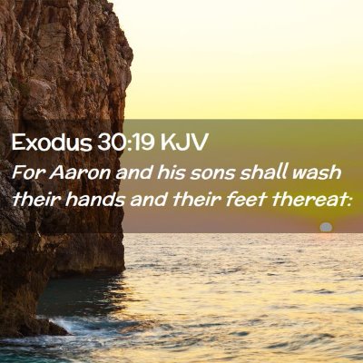 Exodus 30:19 KJV Free Bible Images