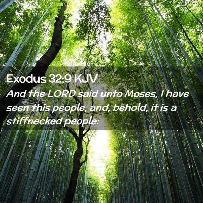 Exodus 32:9 KJV Free Bible Images