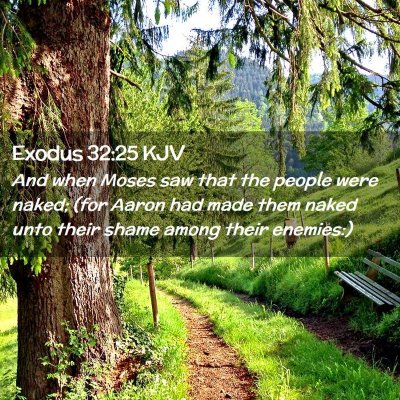 Exodus 32:25 KJV Free Bible Images