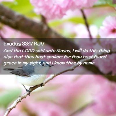 Exodus 33:17 KJV Free Bible Images