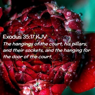 Exodus 35:17 KJV Free Bible Images