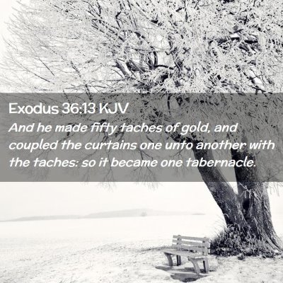 Exodus 36:13 KJV Free Bible Images