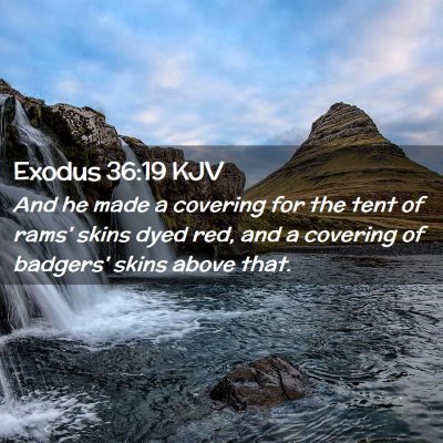 Exodus 36:19 KJV Free Bible Images