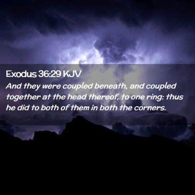 Exodus 36:29 KJV Free Bible Images