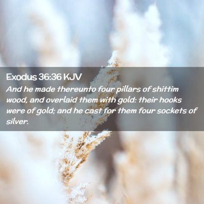 Exodus 36:36 KJV Free Bible Images