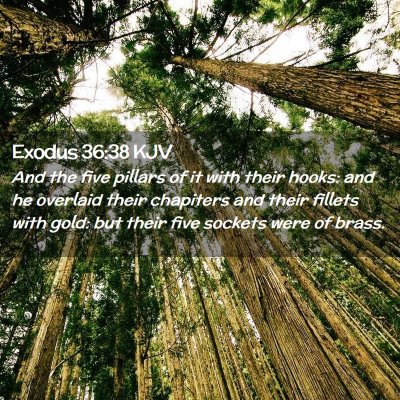 Exodus 36:38 KJV Free Bible Images