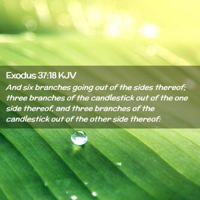 Exodus 37:18 KJV Free Bible Images