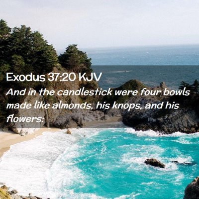 Exodus 37:20 KJV Free Bible Images