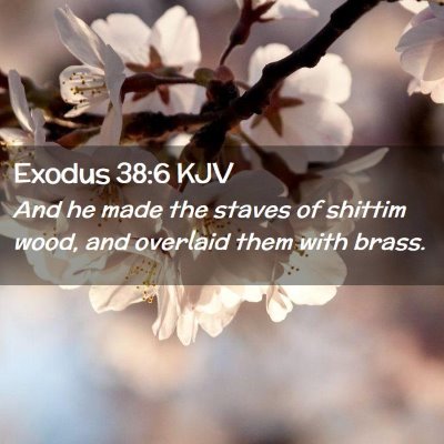 Exodus 38:6 KJV Free Bible Images