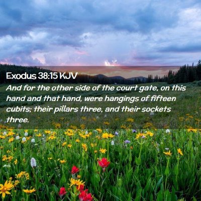 Exodus 38:15 KJV Free Bible Images