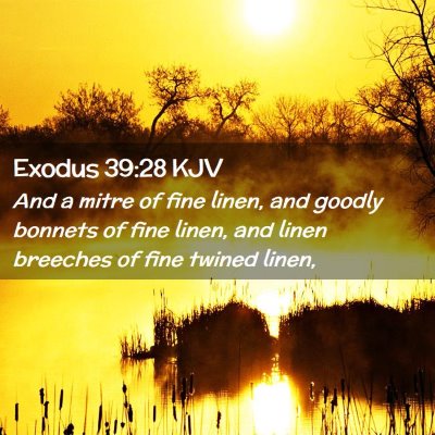 Exodus 39:28 KJV Free Bible Images