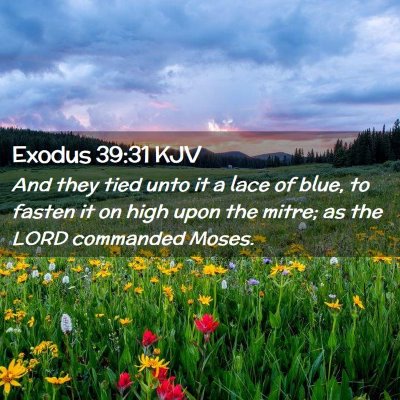 Exodus 39:31 KJV Free Bible Images