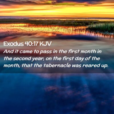 Exodus 40:17 KJV Free Bible Images