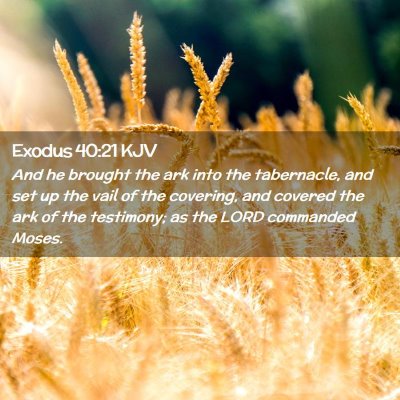 Exodus 40:21 KJV Free Bible Images