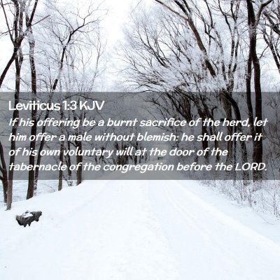 Leviticus 1:3 KJV Free Bible Images