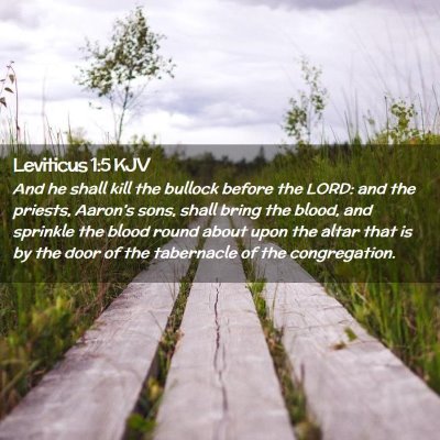 Leviticus 1:5 KJV Free Bible Images