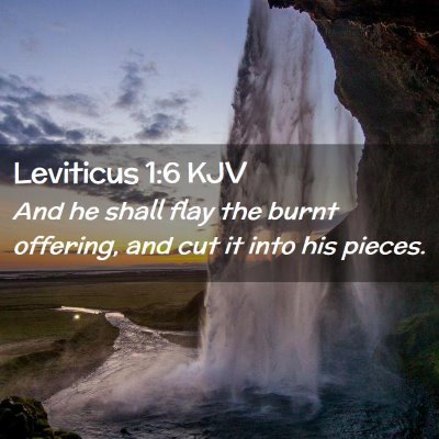 Leviticus 1:6 KJV Free Bible Images