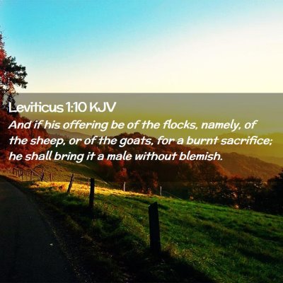 Leviticus 1:10 KJV Free Bible Images