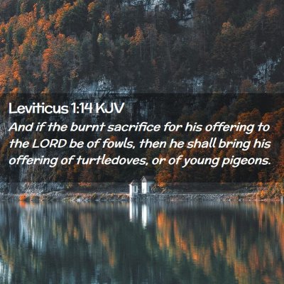 Leviticus 1:14 KJV Free Bible Images